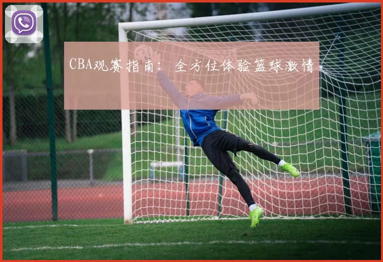 CBA观赛指南:全方位体验篮球激情