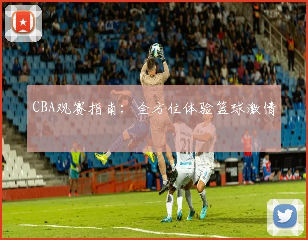 CBA观赛指南:全方位体验篮球激情